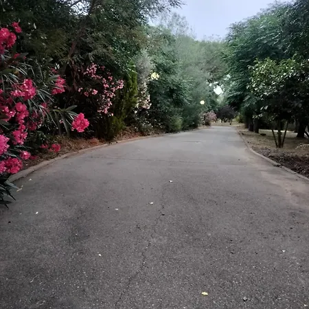 Villa Large House Surrounded By Nature *